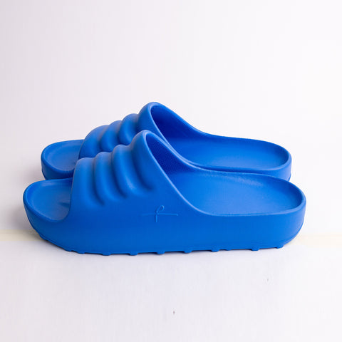 ARKS Slides - Founder Blue