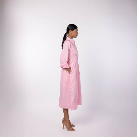 Women's Dress Shirt- Powder Pink