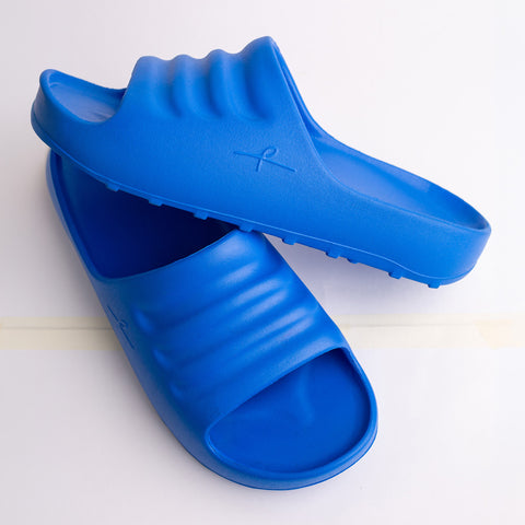 ARKS Slides - Founder Blue