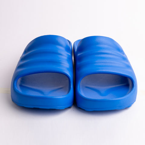 ARKS Slides - Founder Blue